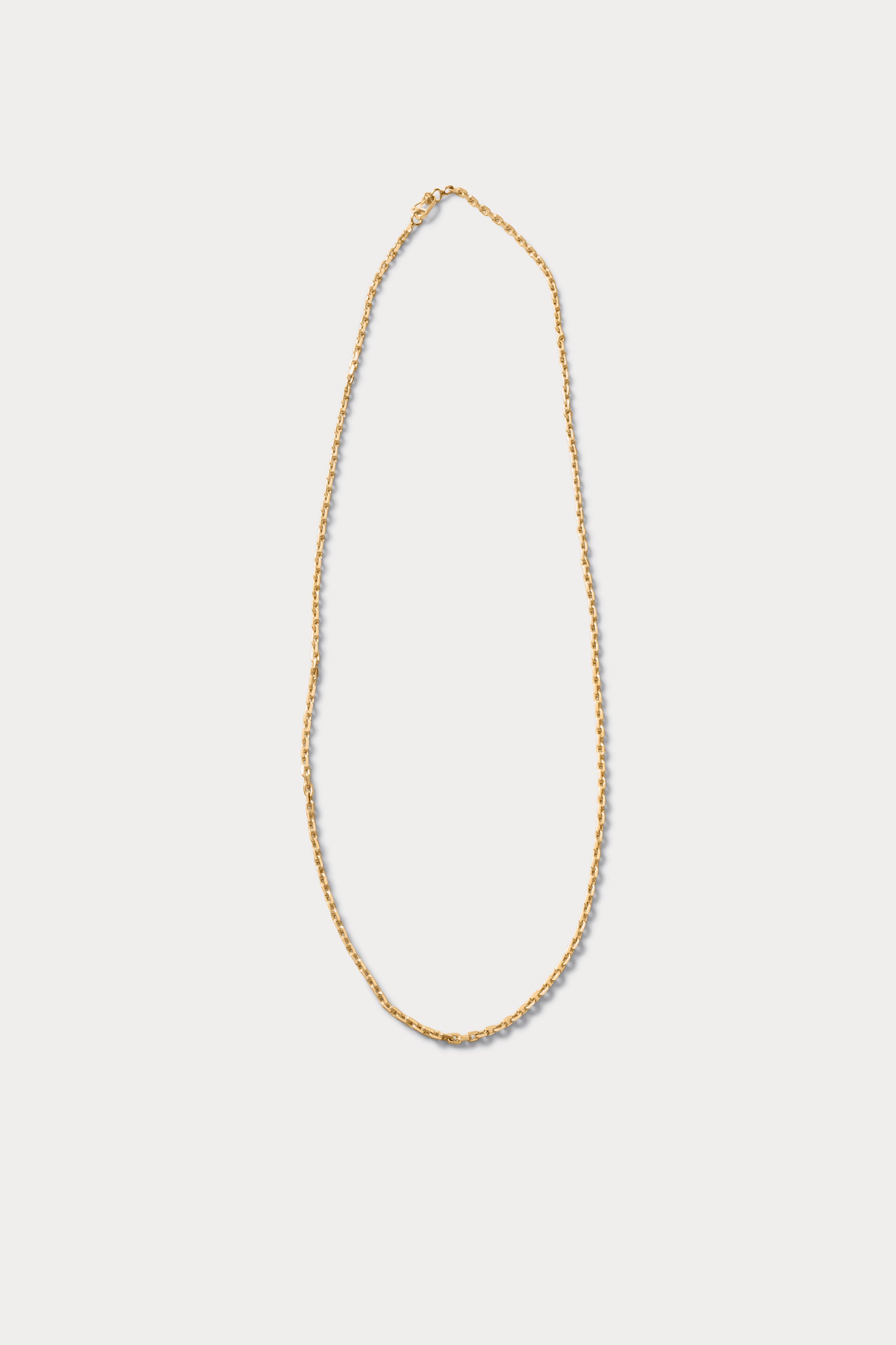 Dainty Long Lorne-NECKLACES-Rachel Comey