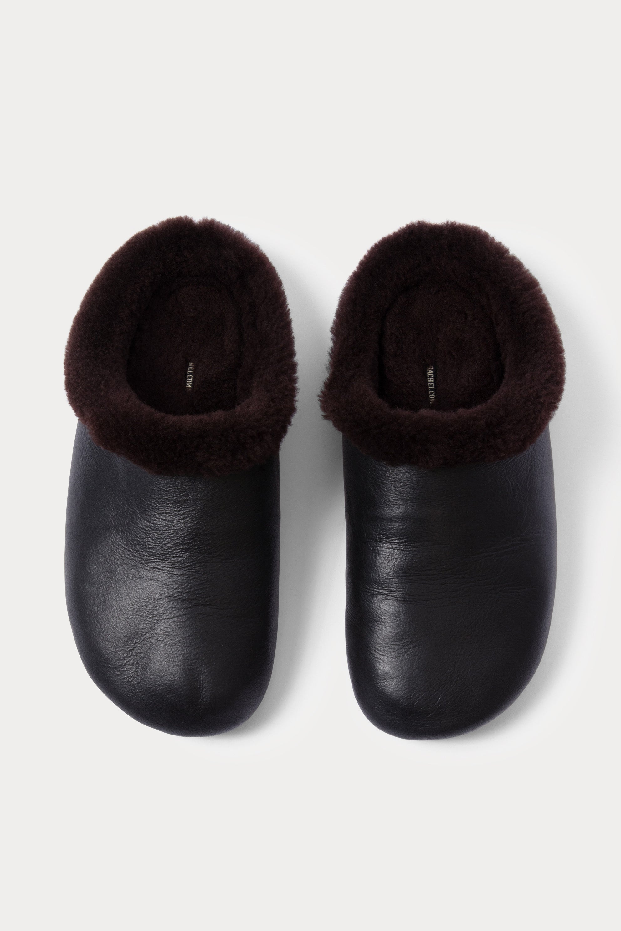 Echo Slide-MULE-Rachel Comey