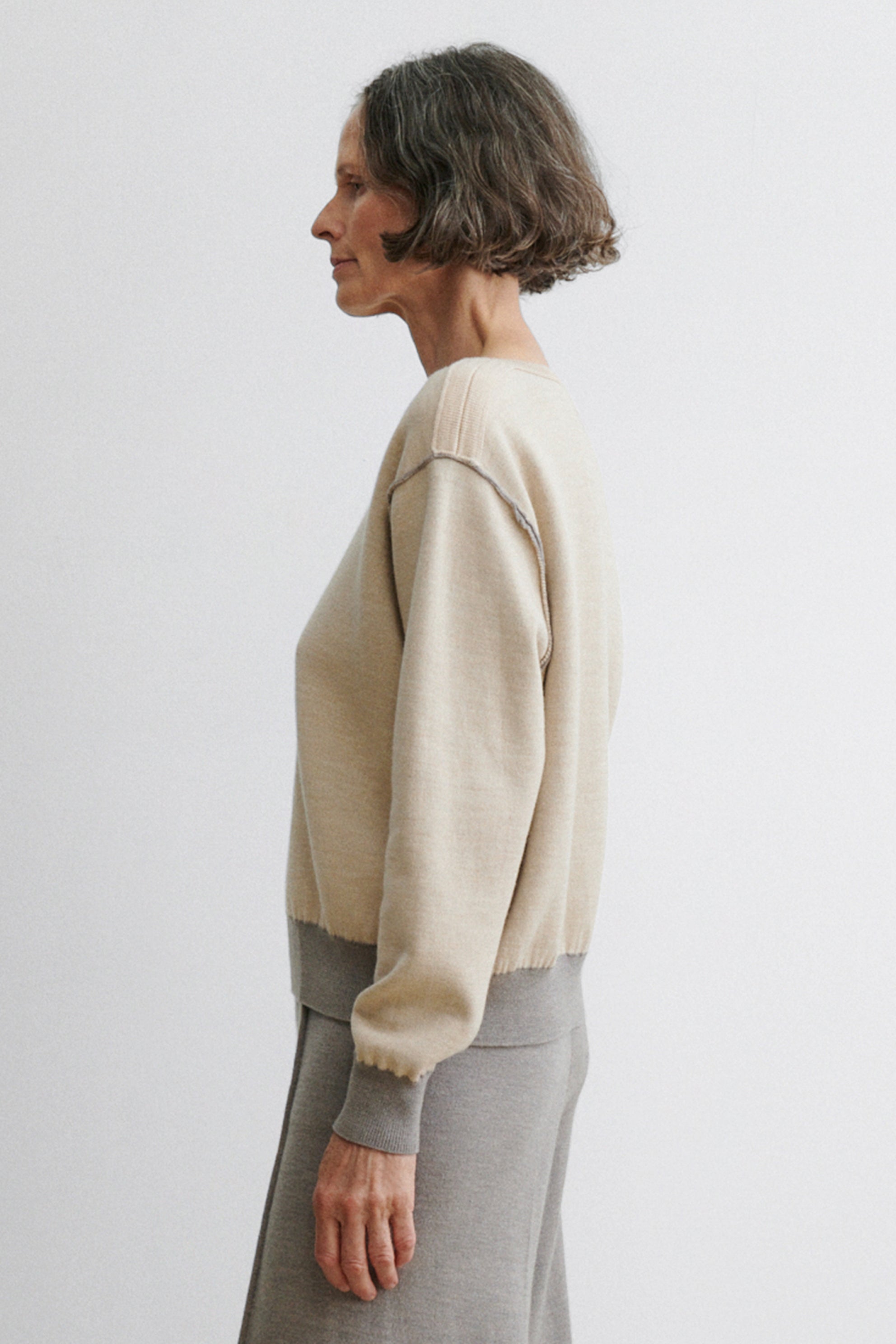Dobrich Pullover-KNITWEAR-Rachel Comey