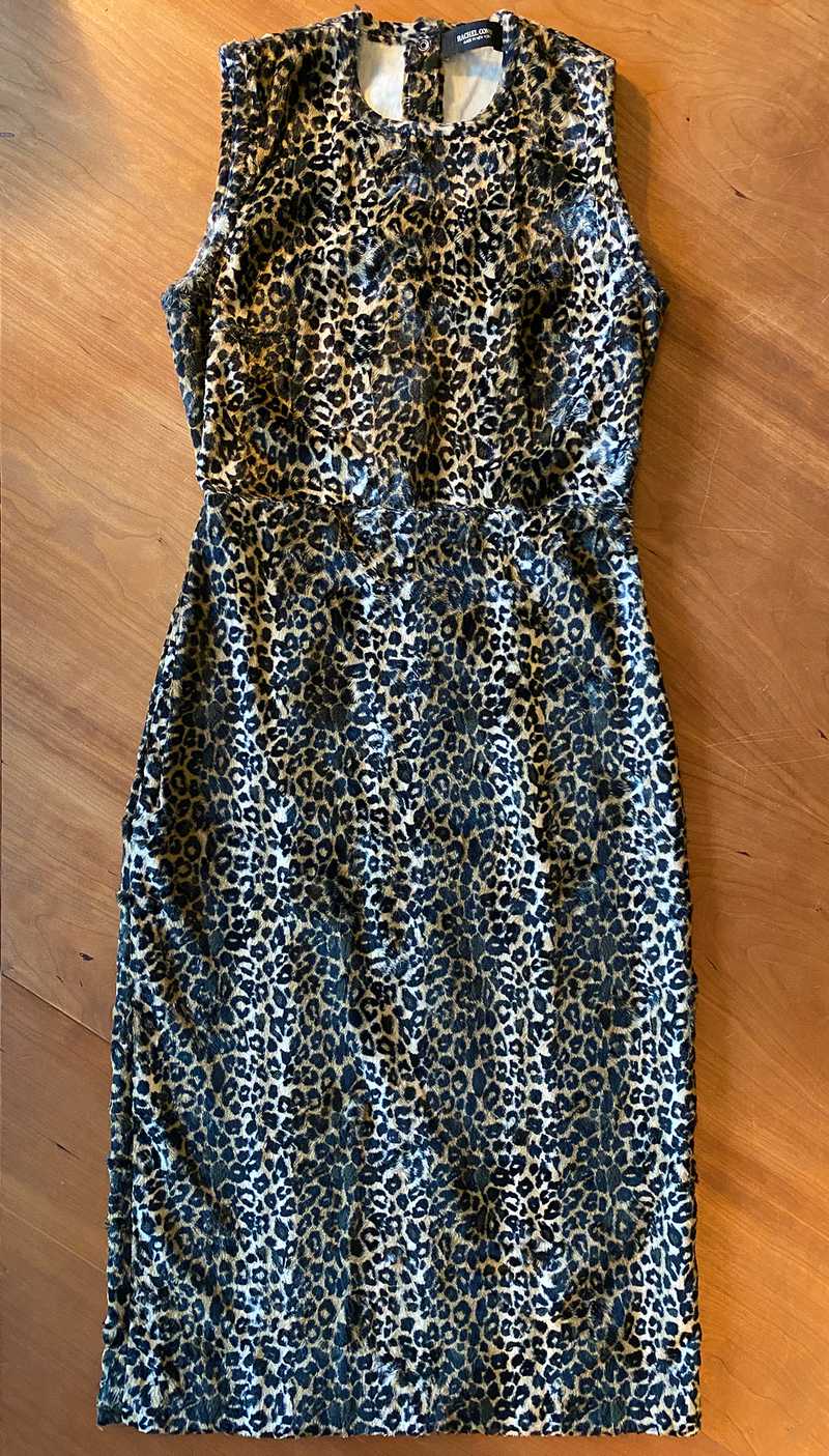 Multi / 4 / Cheetah_Jen_83026